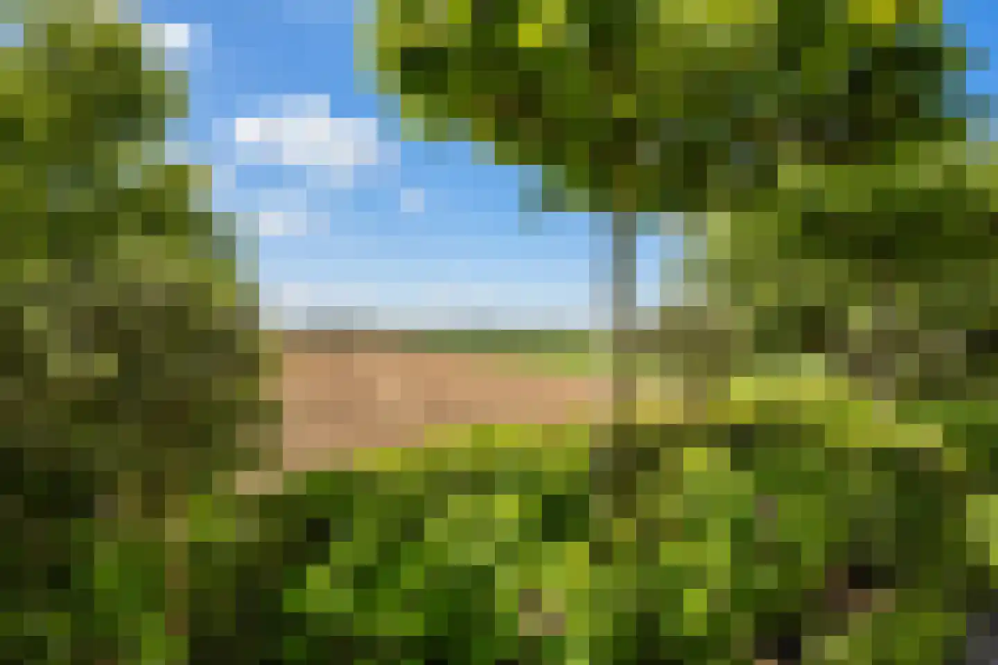 Oud-Cromstrijensedijk WZ 78 Klaaswaal thumbnail 42
