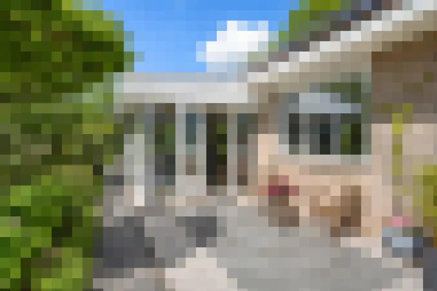 Oud-Cromstrijensedijk WZ 78 Klaaswaal thumbnail 50