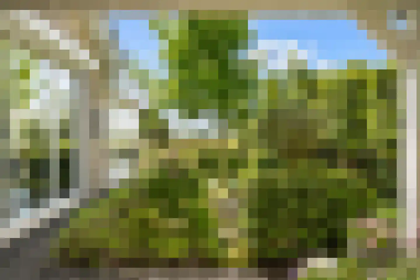 Oud-Cromstrijensedijk WZ 78 Klaaswaal thumbnail 55