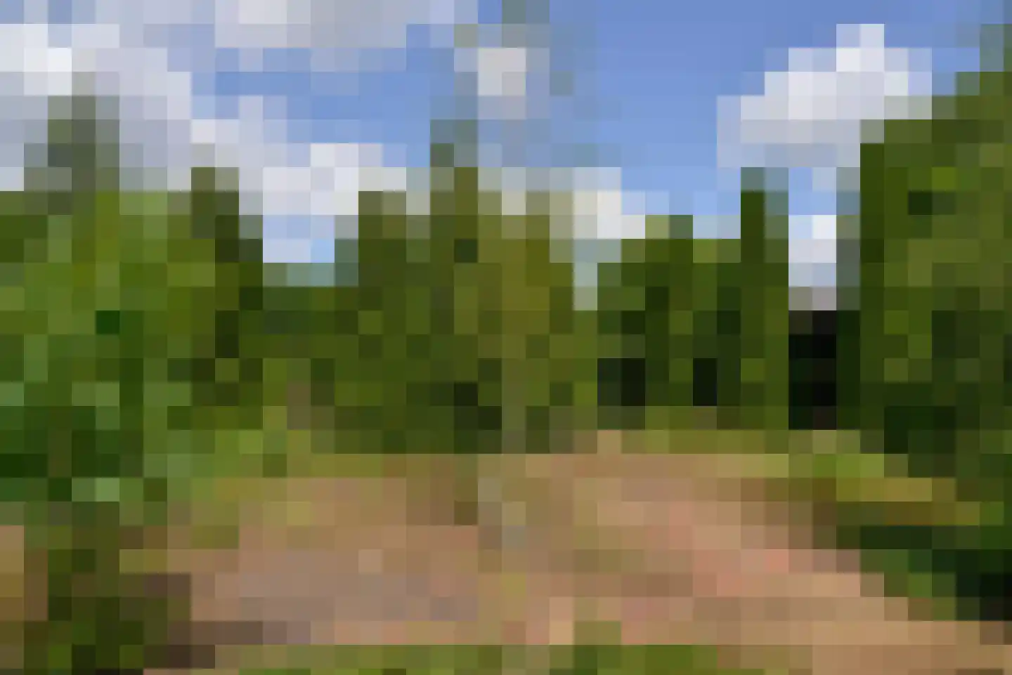Oud Eemnesserweg 29 Eemnes thumbnail 24