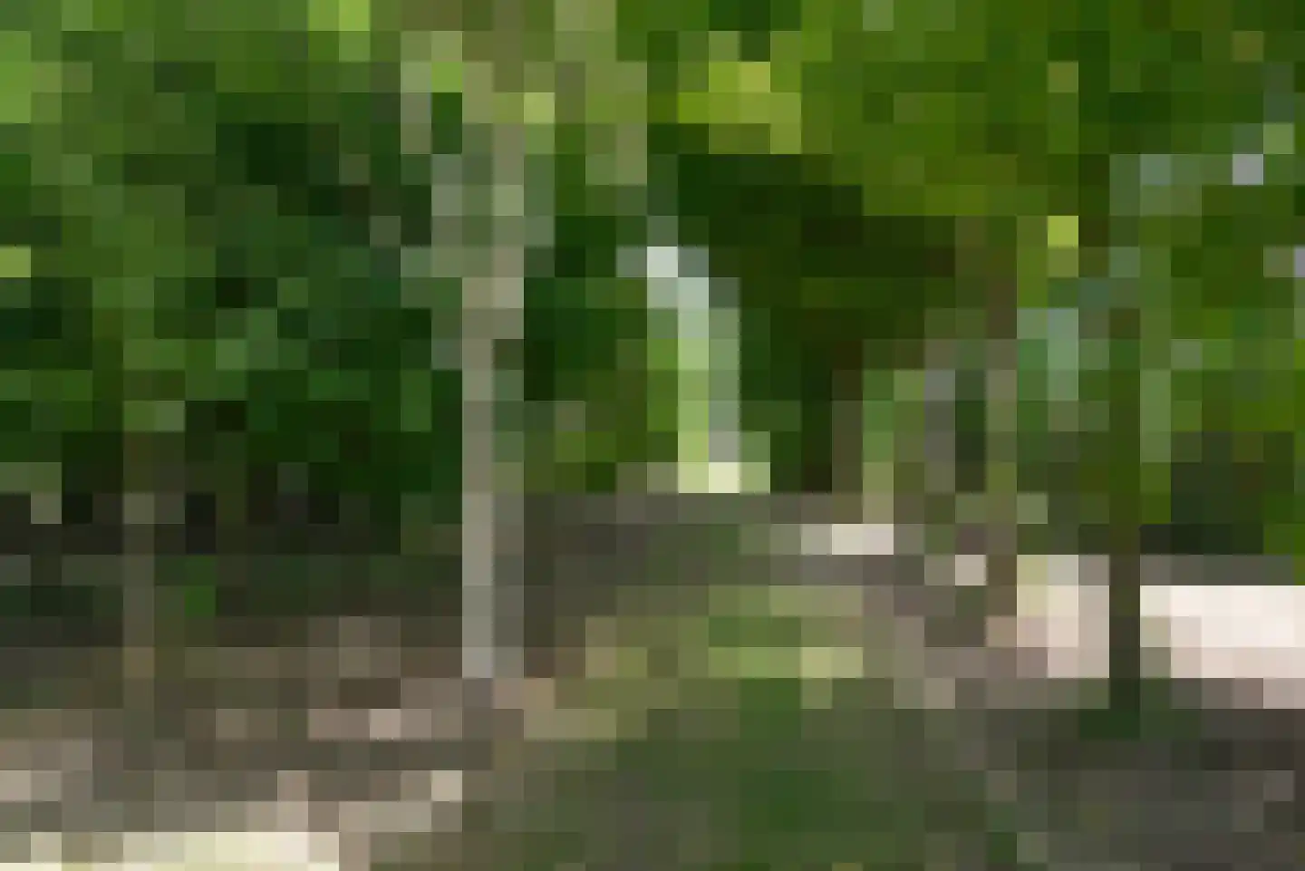 Oud Eemnesserweg 29 Eemnes thumbnail 25