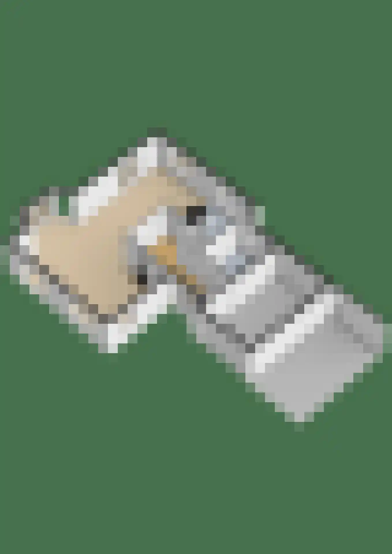 Oud Eemnesserweg 29 Eemnes thumbnail 32