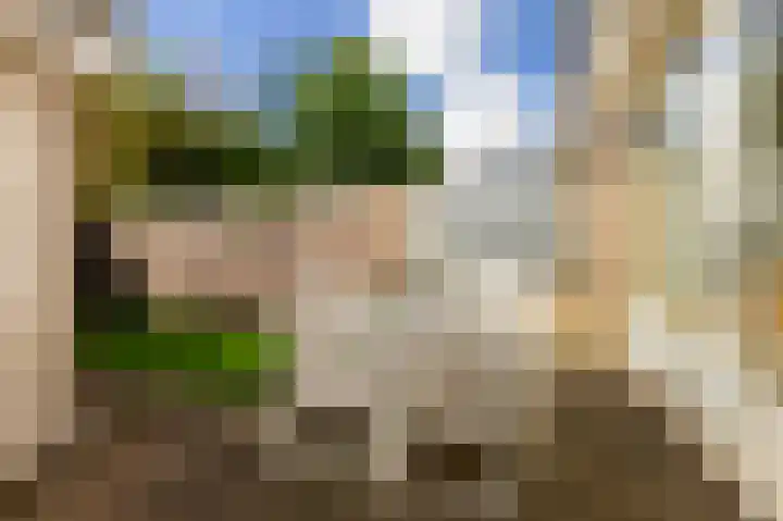 Oud-Ehrenstein 10 Amsterdam thumbnail 28