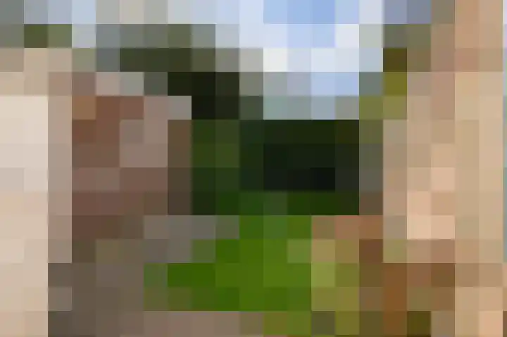 Oud-Ehrenstein 10 Amsterdam thumbnail 29