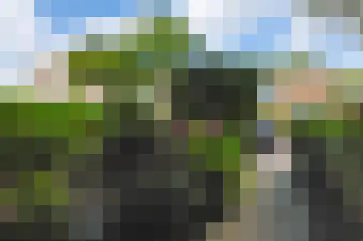 Oud-Ehrenstein 10 Amsterdam thumbnail 5