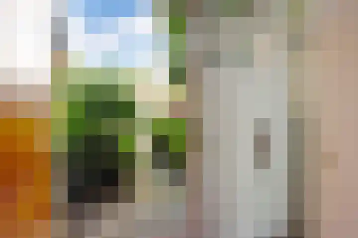 Oud-Ehrenstein 10 Amsterdam thumbnail 6