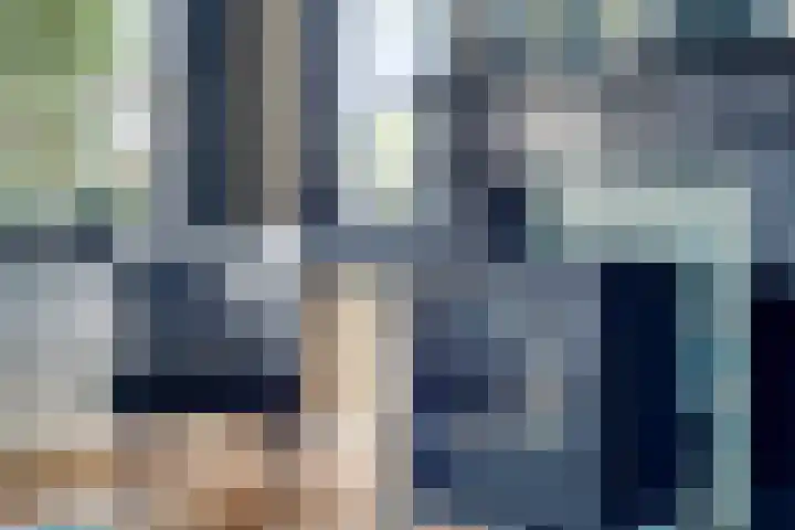 Oud Ferdinandusdijk 7 Hulst thumbnail 13