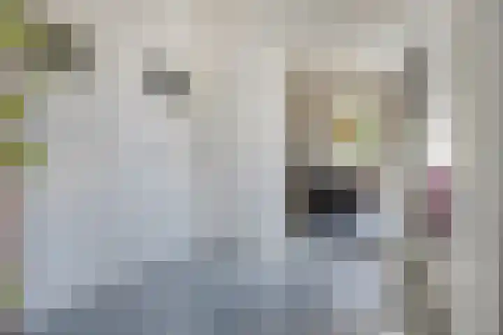 Oud Ferdinandusdijk 7 Hulst thumbnail 16