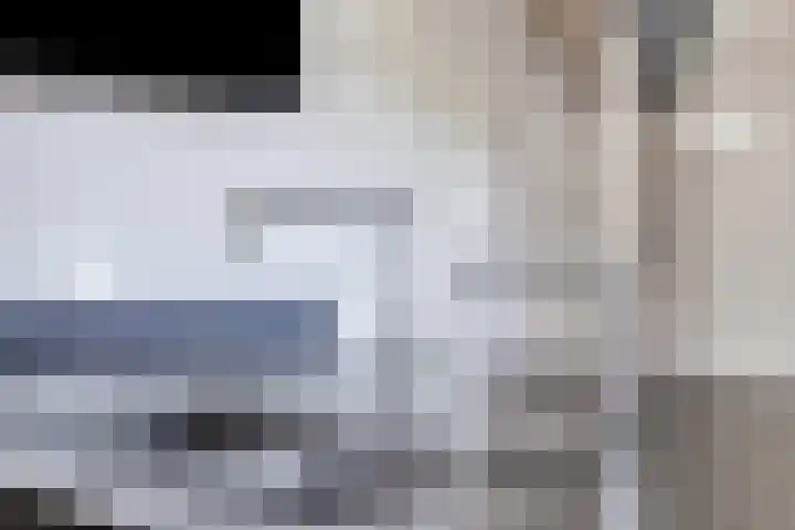 Oud Ferdinandusdijk 7 Hulst thumbnail 21
