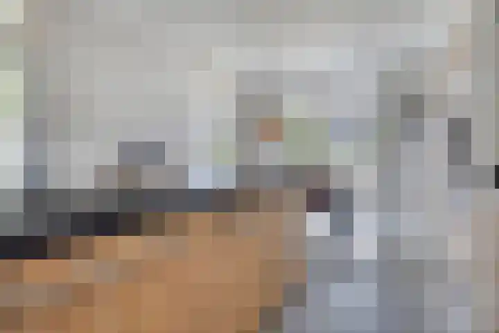 Oud Ferdinandusdijk 7 Hulst thumbnail 23