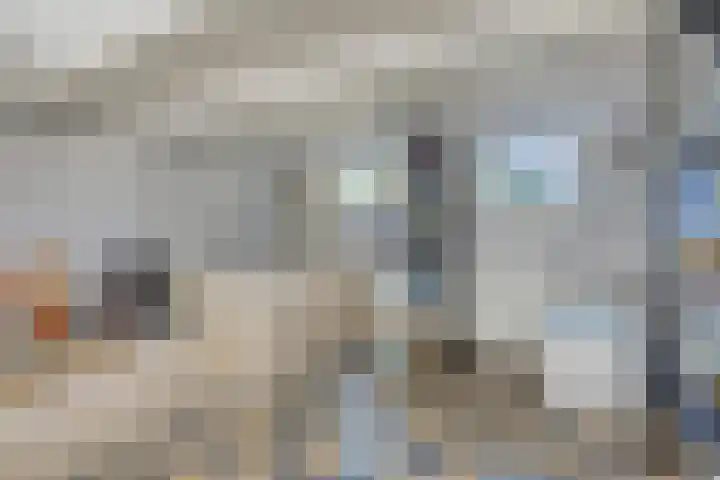 Oud Ferdinandusdijk 7 Hulst thumbnail 25