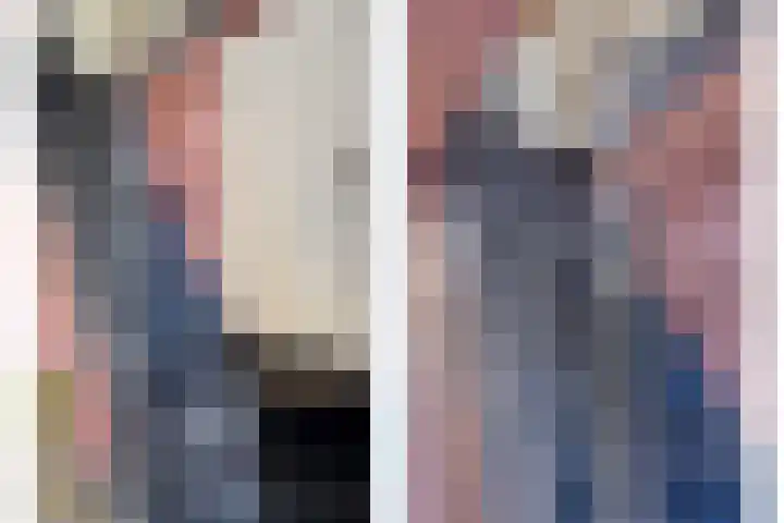 Oud Ferdinandusdijk 7 Hulst thumbnail 26