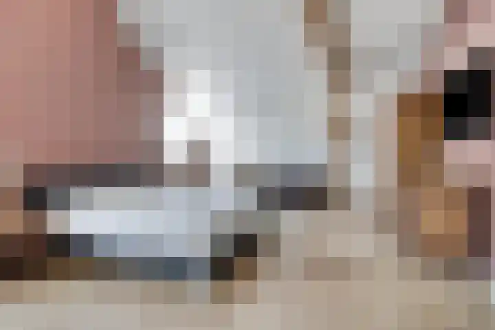 Oud Ferdinandusdijk 7 Hulst thumbnail 30