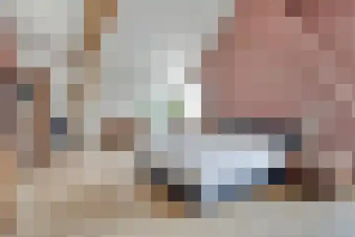 Oud Ferdinandusdijk 7 Hulst thumbnail 31