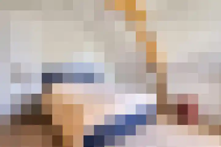 Oud Ferdinandusdijk 7 Hulst thumbnail 32