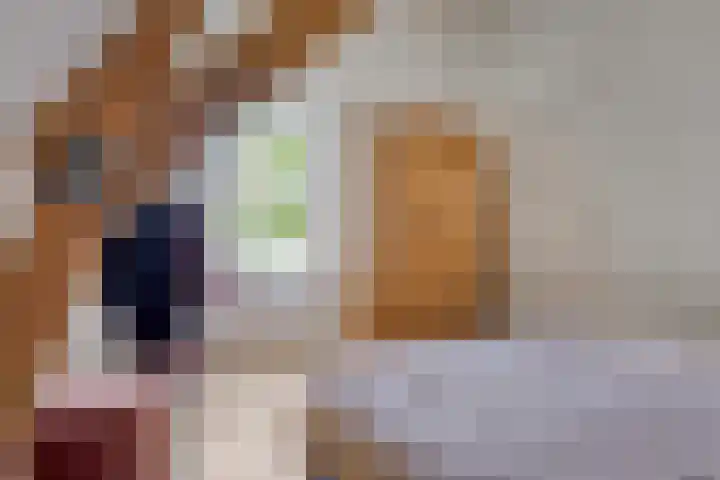 Oud Ferdinandusdijk 7 Hulst thumbnail 33
