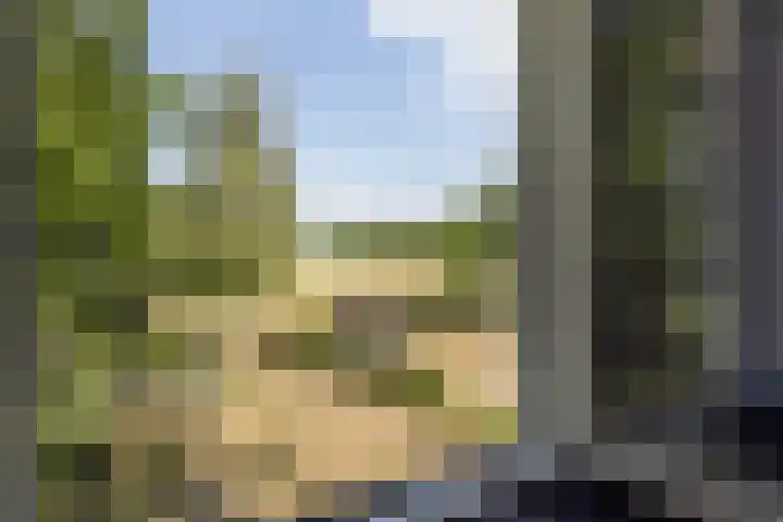 Oud Ferdinandusdijk 7 Hulst thumbnail 36