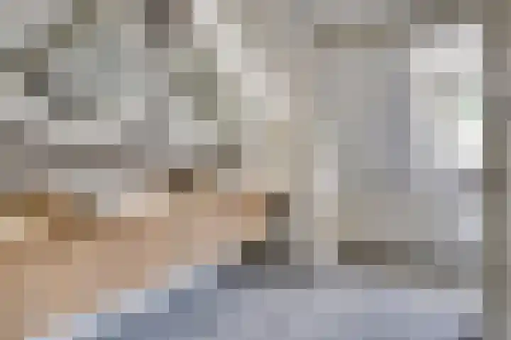 Oud Ferdinandusdijk 7 Hulst thumbnail 37