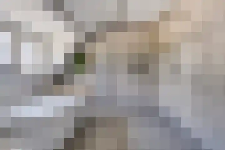 Oud Ferdinandusdijk 7 Hulst thumbnail 38