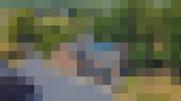Oud Ferdinandusdijk 7 Hulst thumbnail 4