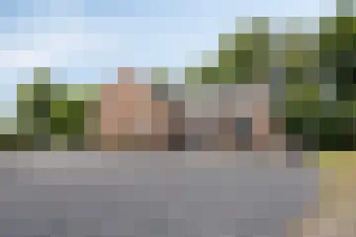 Oud Ferdinandusdijk 7 Hulst thumbnail 41