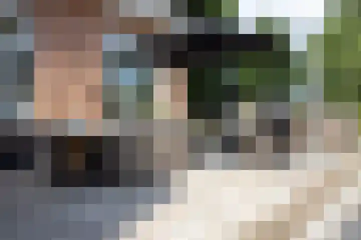 Oud Ferdinandusdijk 7 Hulst thumbnail 42