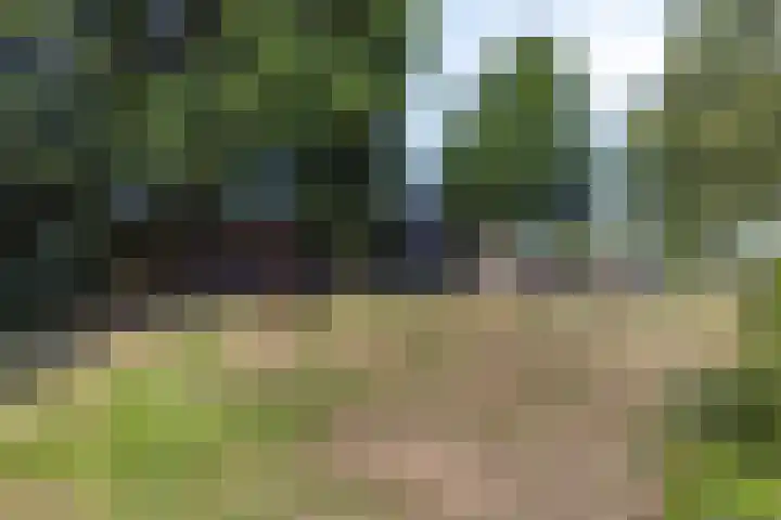 Oud Ferdinandusdijk 7 Hulst thumbnail 44