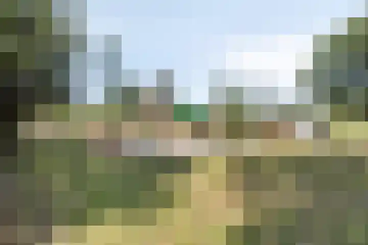 Oud Ferdinandusdijk 7 Hulst thumbnail 45