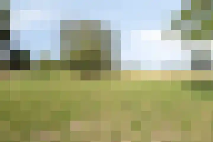 Oud Ferdinandusdijk 7 Hulst thumbnail 47