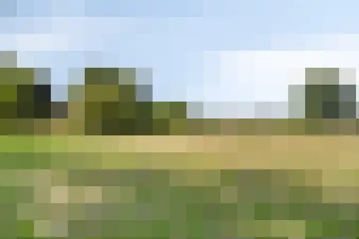 Oud Ferdinandusdijk 7 Hulst thumbnail 48