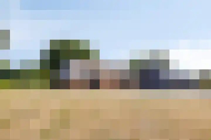 Oud Ferdinandusdijk 7 Hulst thumbnail 49