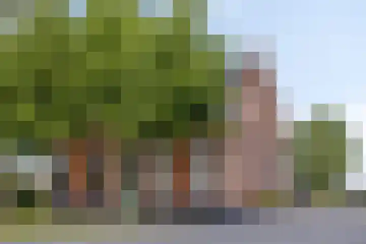 Oud Ferdinandusdijk 7 Hulst thumbnail 5