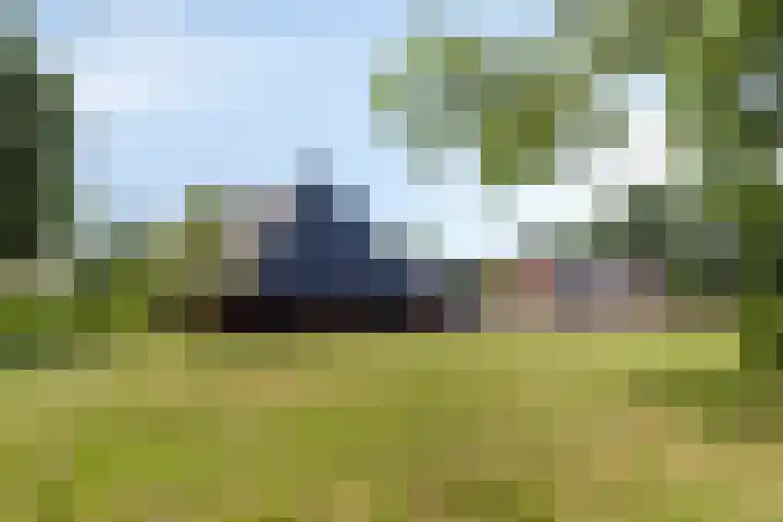 Oud Ferdinandusdijk 7 Hulst thumbnail 51