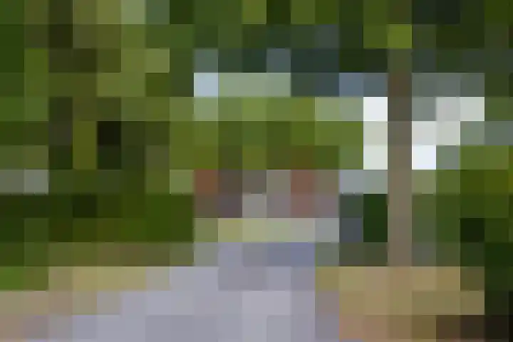 Oud Ferdinandusdijk 7 Hulst thumbnail 53