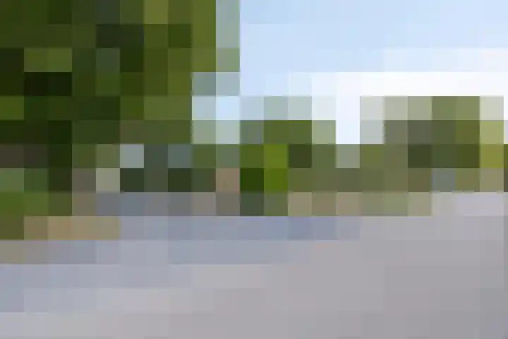 Oud Ferdinandusdijk 7 Hulst thumbnail 54