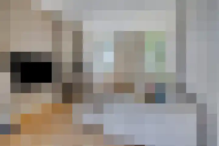 Oud Ferdinandusdijk 7 Hulst thumbnail 8