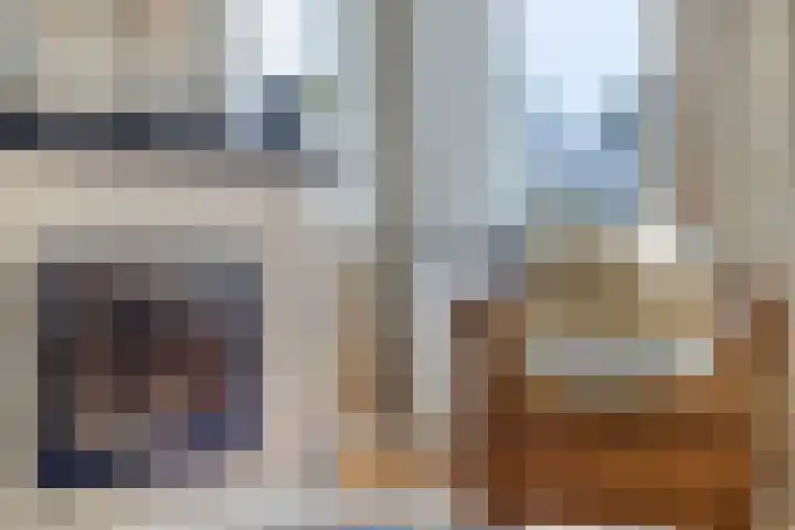 Oud Ferdinandusdijk 7 Hulst thumbnail 9