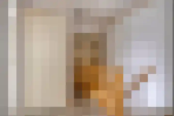 Oud Heiligeweg 10 Oosterland thumbnail 13