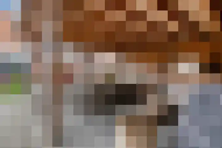 Oud Heiligeweg 10 Oosterland thumbnail 22