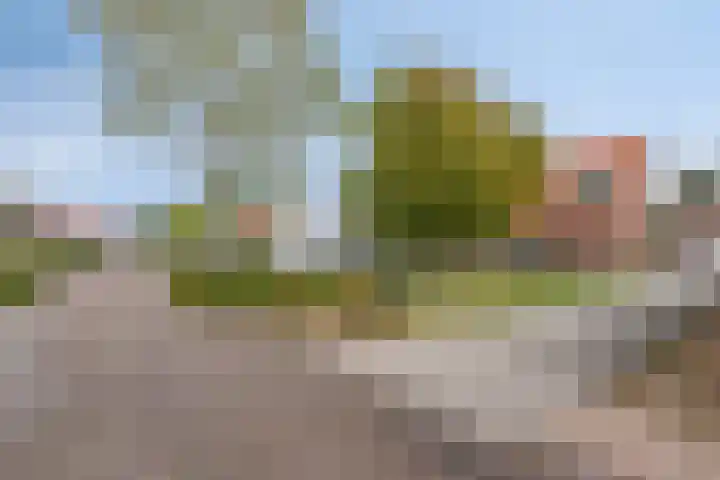 Oud Heiligeweg 10 Oosterland thumbnail 25