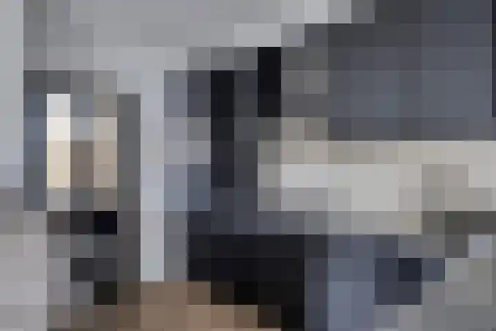 Oud Heiligeweg 10 Oosterland thumbnail 4