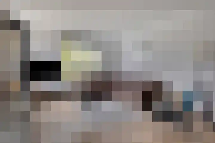 Oud Heiligeweg 10 Oosterland thumbnail 6