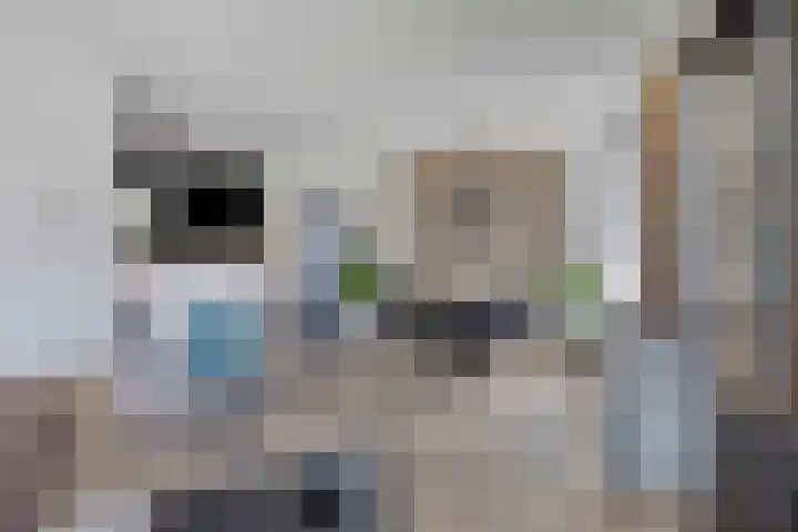 Oud Heiligeweg 10 Oosterland thumbnail 7