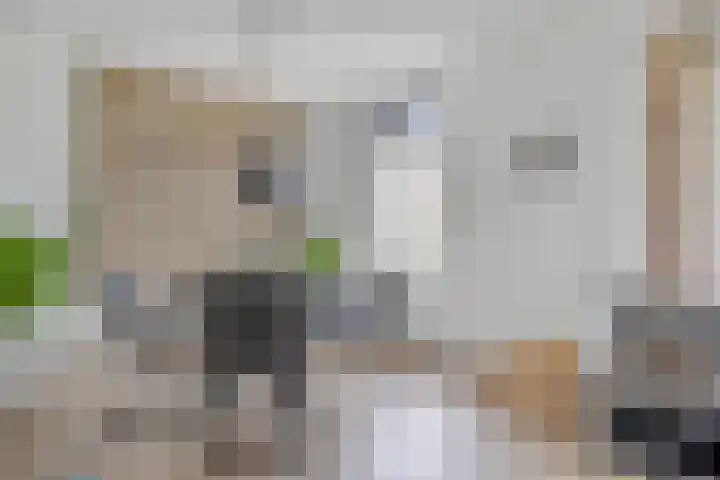 Oud Heiligeweg 10 Oosterland thumbnail 8