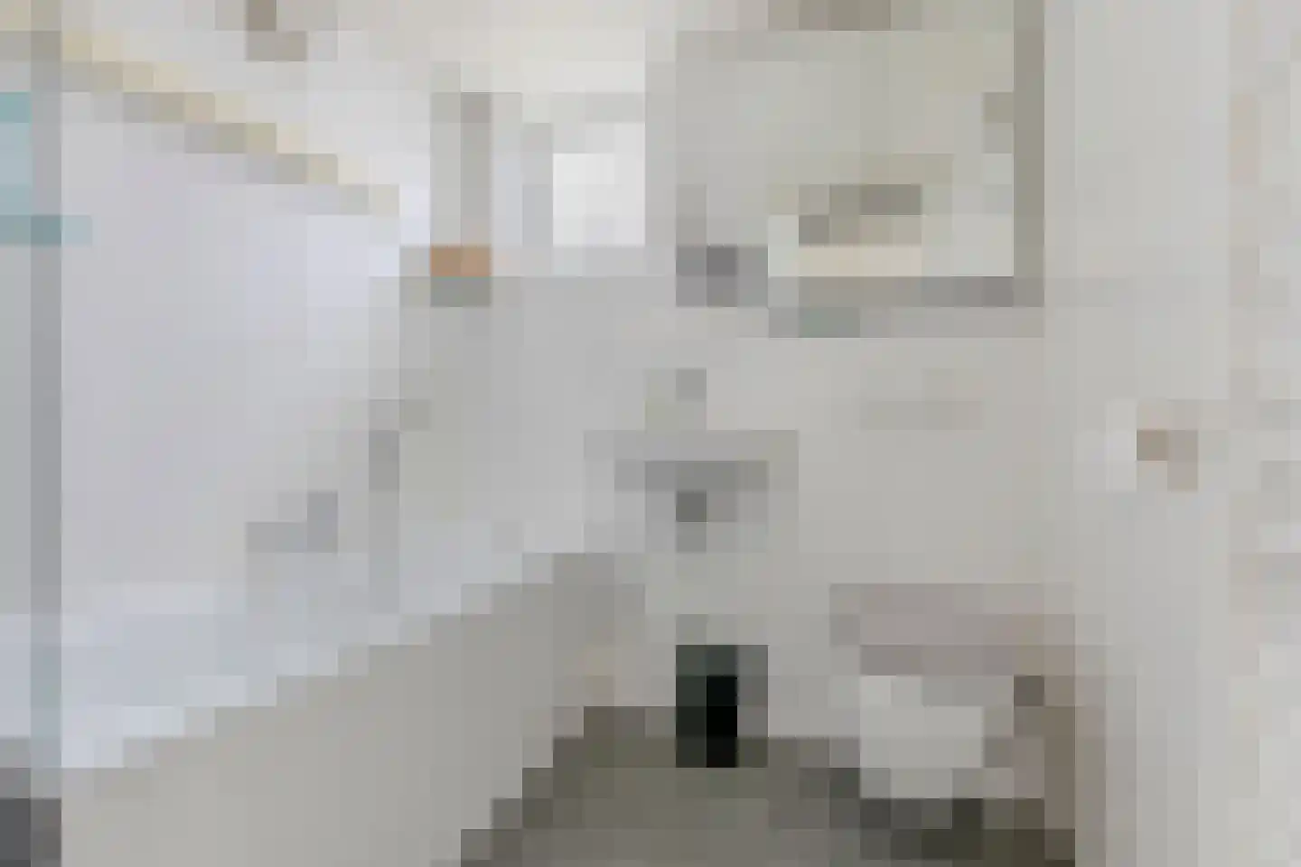 Oud Heinstraat 27 Zaandijk thumbnail 12