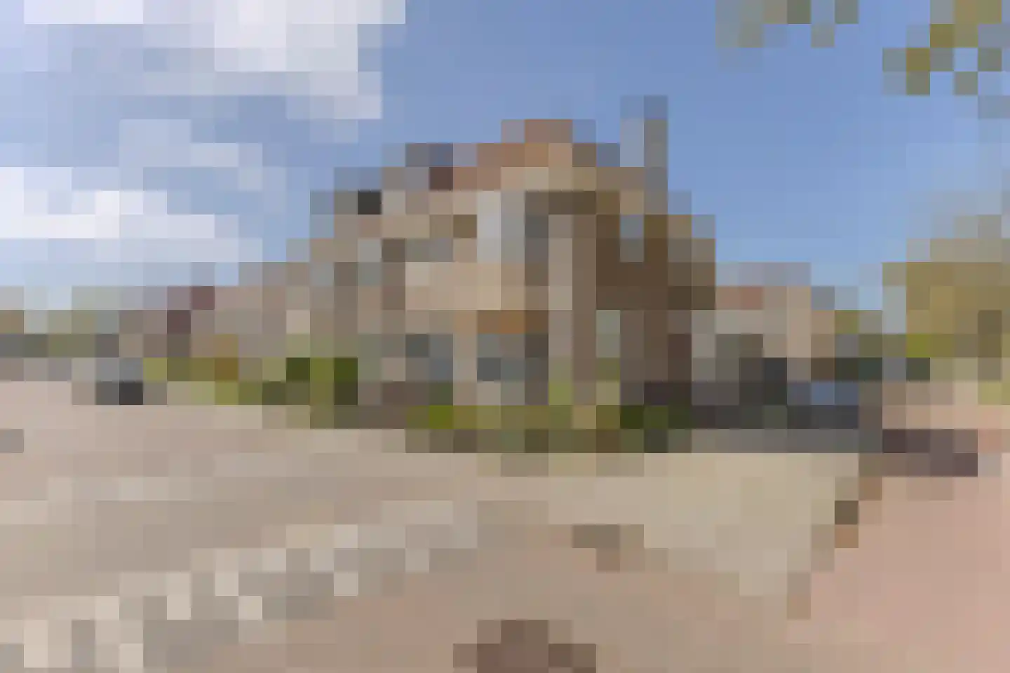 Oud Heinstraat 27 Zaandijk thumbnail 30