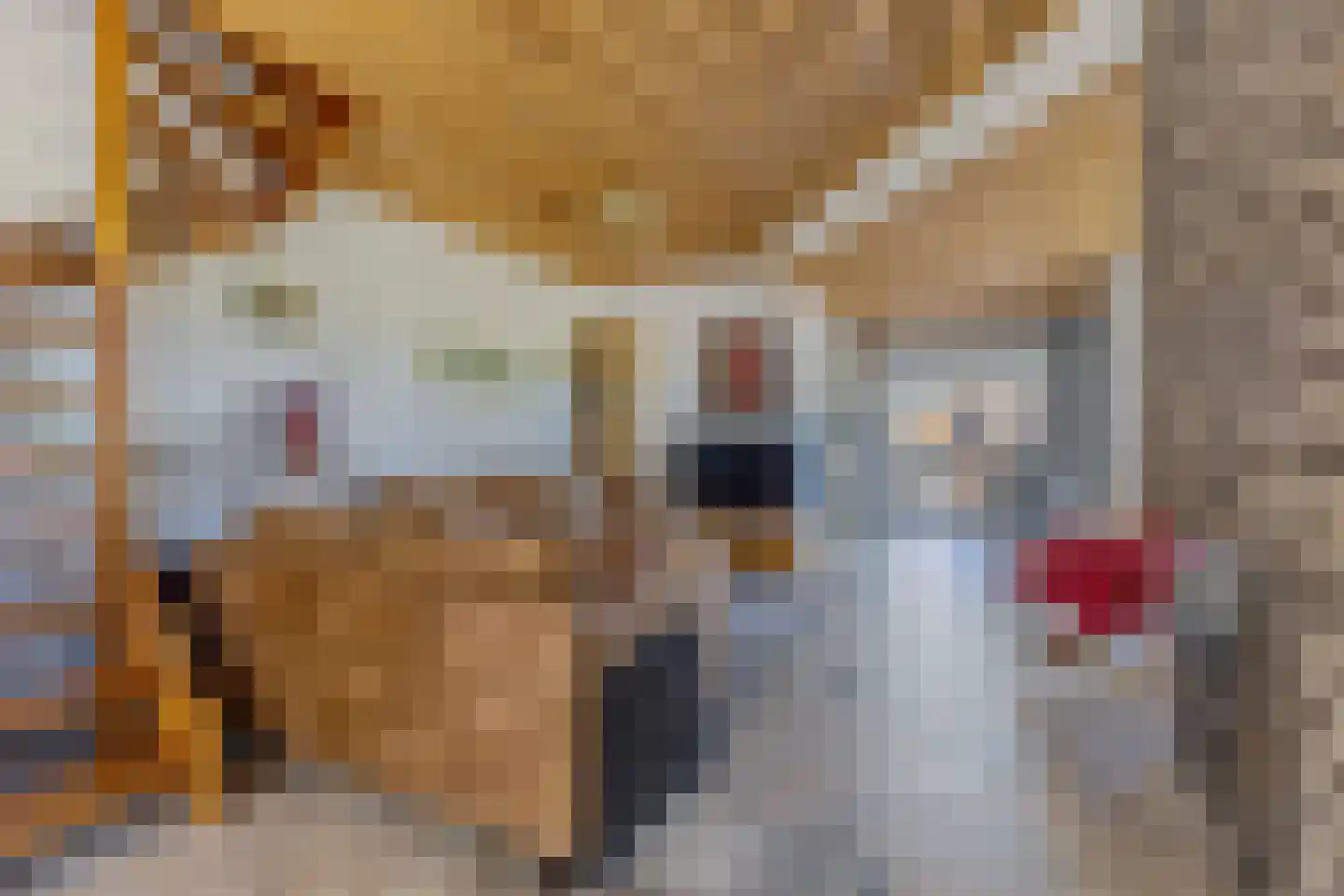 Oud Heinstraat 27 Zaandijk thumbnail 5