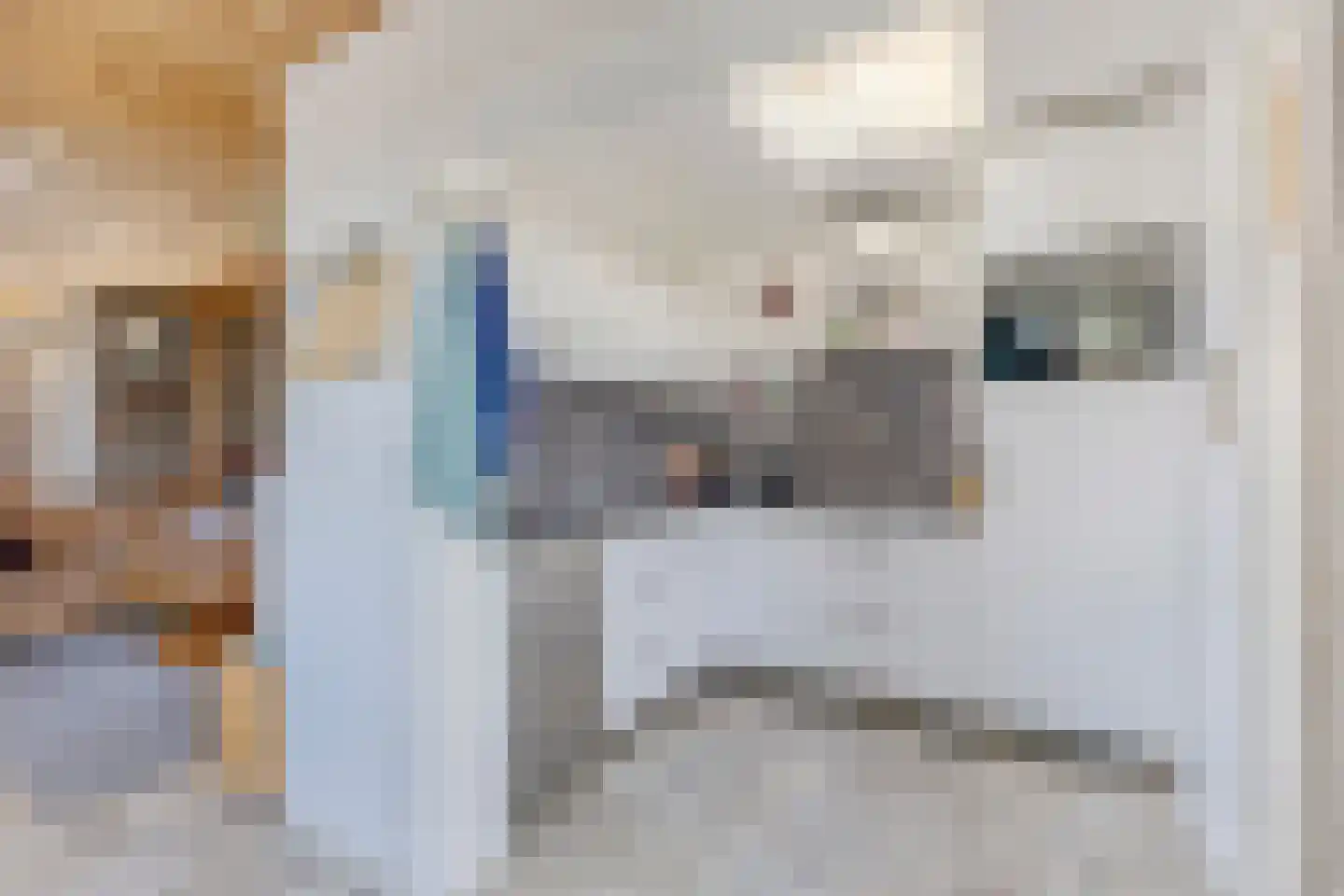 Oud Heinstraat 27 Zaandijk thumbnail 8