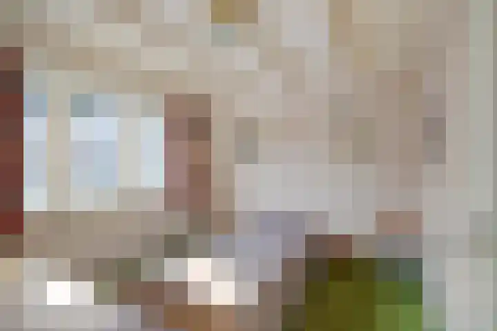 Oud Heinstraat 5 Zaandijk thumbnail 19