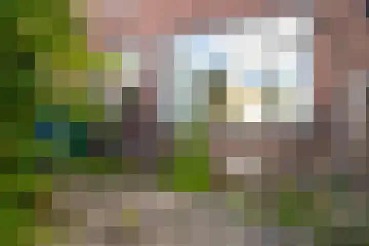 Oud Heinstraat 5 Zaandijk thumbnail 31
